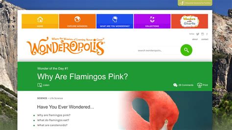 Wonderopolis .